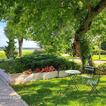 Appartement La Metairie Au Milieu Des Vignes à Réaux Extérieur photo