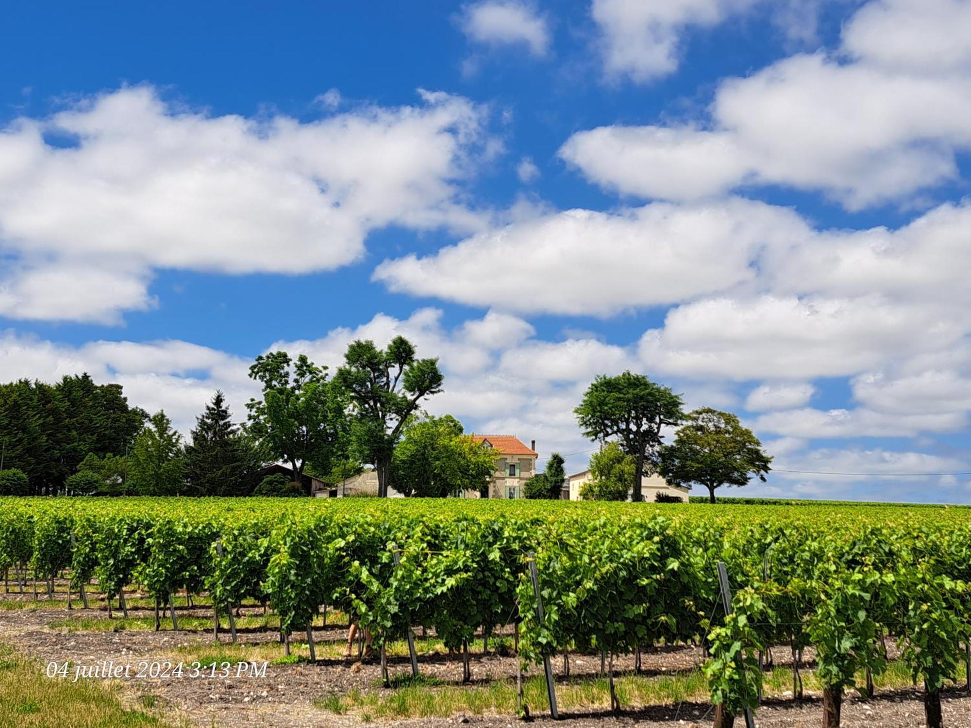 Appartement La Metairie Au Milieu Des Vignes à Réaux Extérieur photo