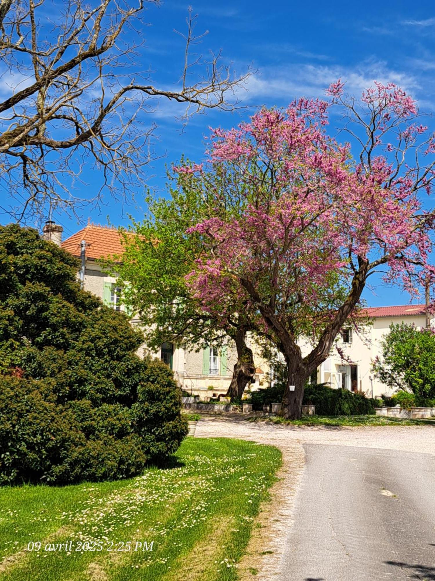 Appartement La Metairie Au Milieu Des Vignes à Réaux Extérieur photo